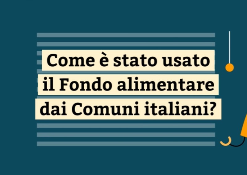 COME È STATO USATO IL FONDO ALIMENTARE DAI COMUNI ITALIANI? - indagine spesa