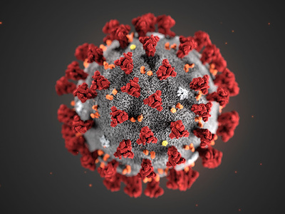 11 MARZO: L'OMS DICHIARA IL CORONAVIRUS PANDEMIA - coronavirus