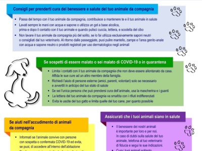 Infografica Istituto Superiore di Sanità - animali